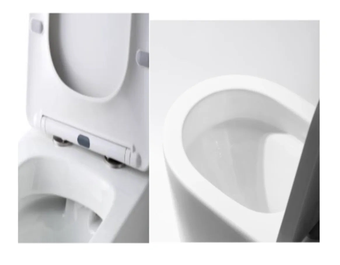 Evara Bathware Ottavia Back to Wall Toilet Suite